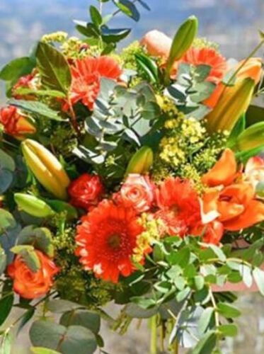 [Home]-Visuel-activite-2